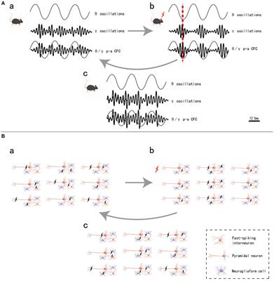 The role of the nucleus basalis of Meynert in neuromodulation therapy: a systematic review from the perspective of neural network oscillations